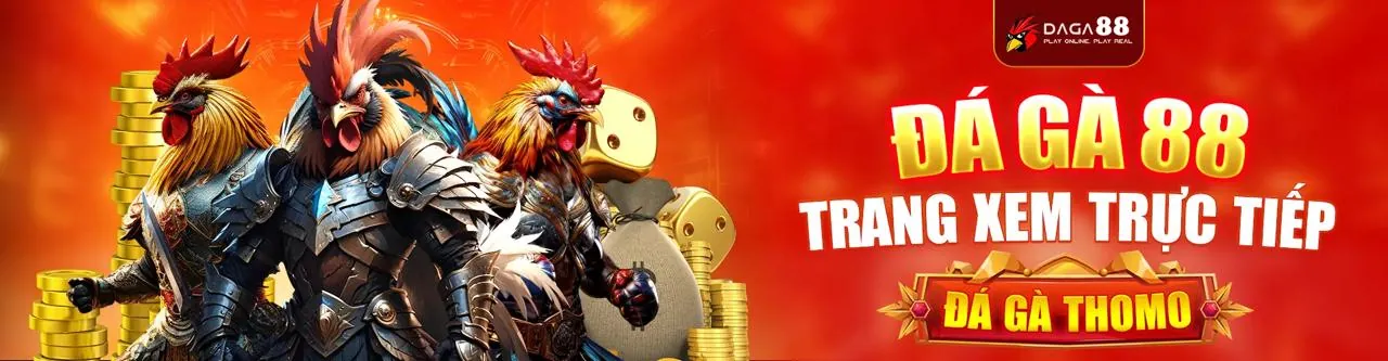 Hướng dẫn cá cược trực tuyến cho người mới tại new88011 nhà cái