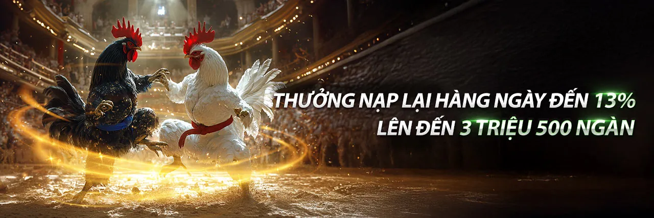 Đá Gà Trực Tuyến Kịch Tính tại new88011 nhà cái